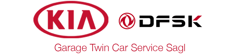 GARAGE TWIN CAR SERVICE