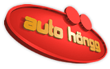 Auto Höngg Zürich