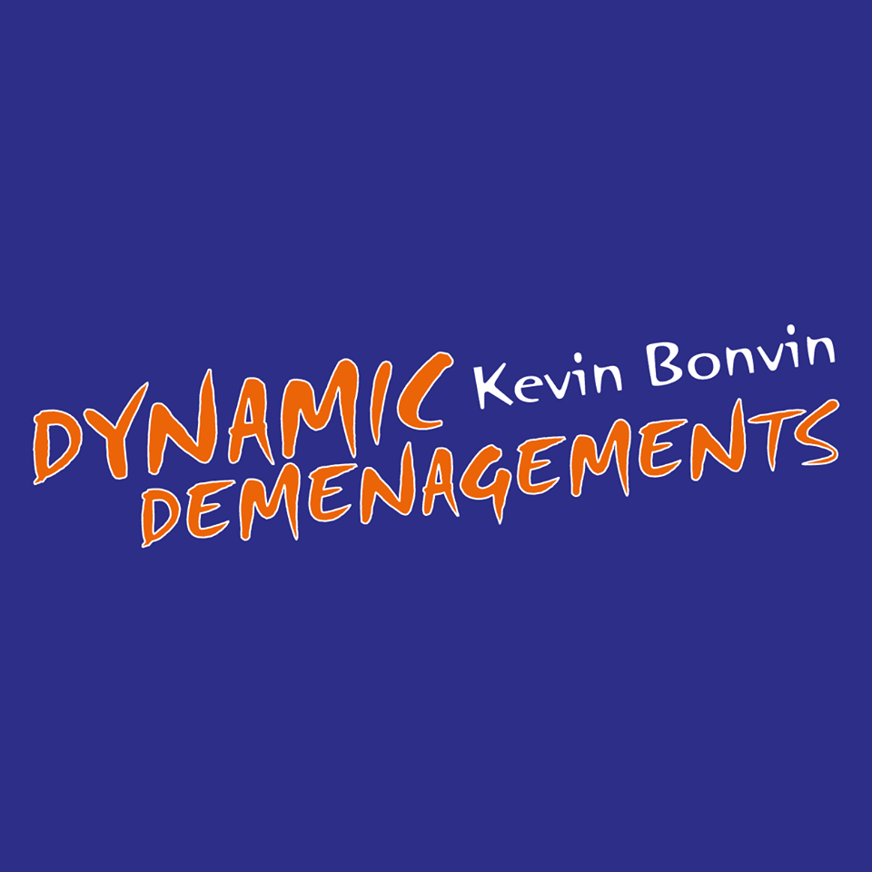 Dynamic Déménagements SA