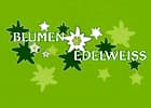 Blumen Edelweiss Hartmann Ursula