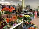 Blumen mit Stiel