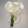 Floral Design