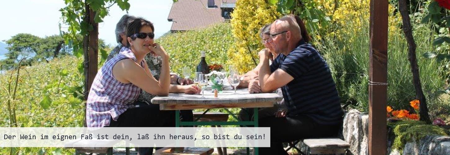 Stämpfli Wy